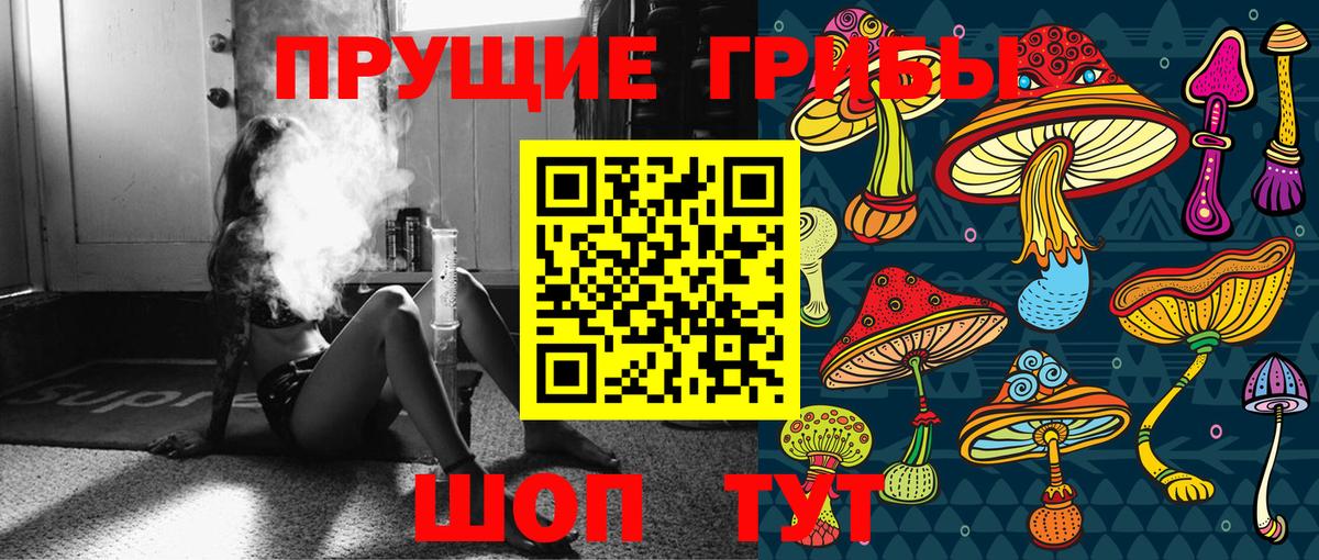 Псилоцибиновые грибы Psilocybine cubensis  Вход с VPN  Солнечногорск 