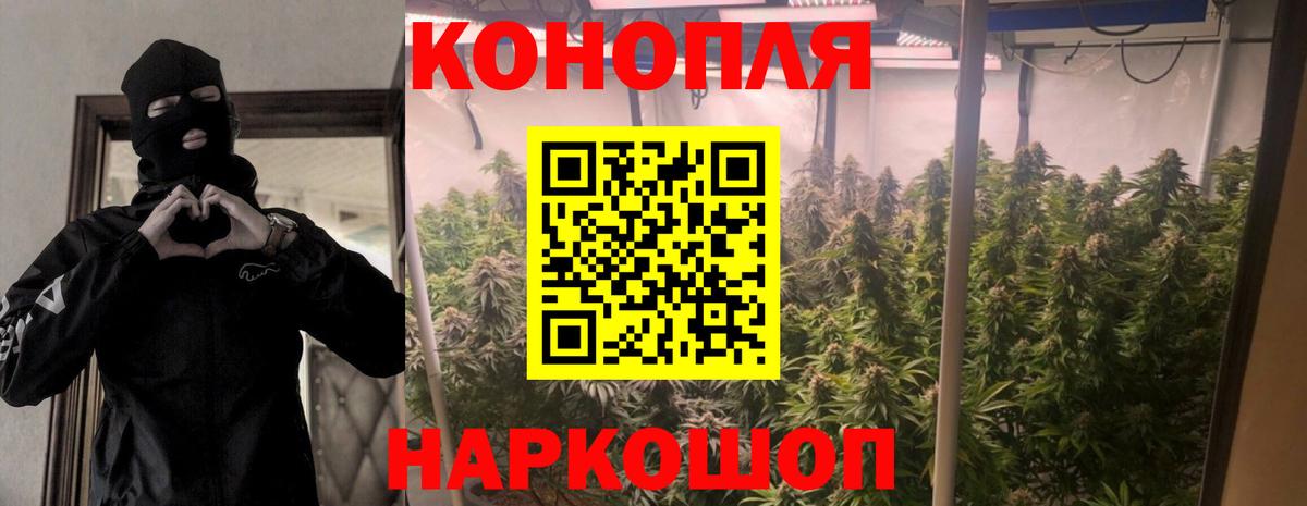 Бошки марихуана ГИДРОПОН Солнечногорск